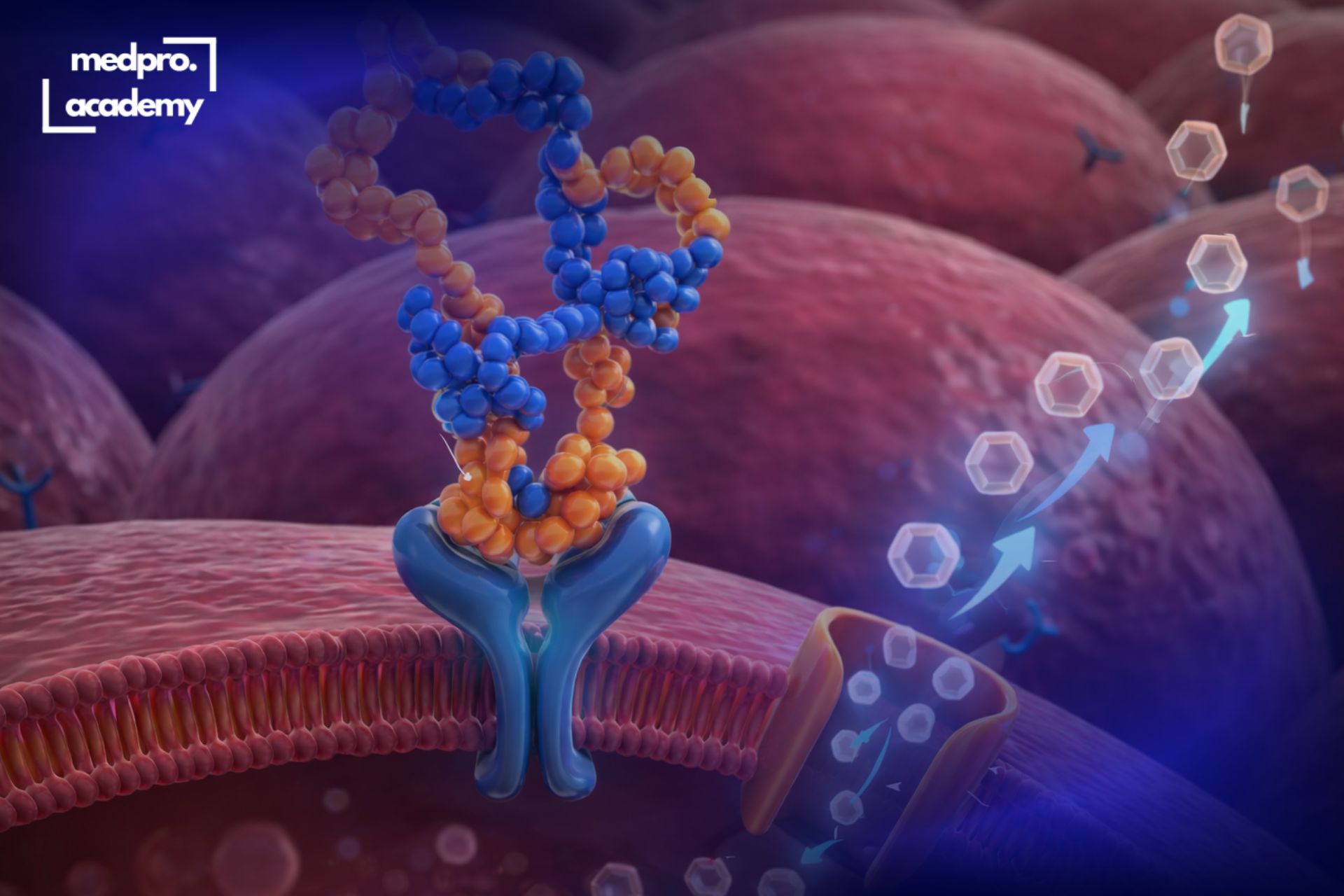 1Інсулінорезистентність від діагностики до лікування